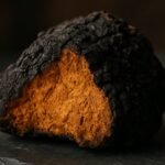 Chaga : bienfaits, dangers pour les reins et posologie