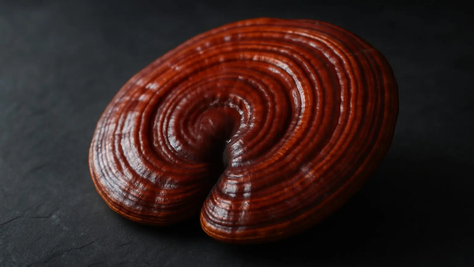 Lire la suite à propos de l’article Reishi : bienfaits, sommeil, dangers et posologie