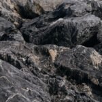 De la constance du sage (Sénèque) : résumé et leçons