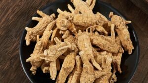 Racines de ginseng fraiches sur assiette noire, adaptogene tonique