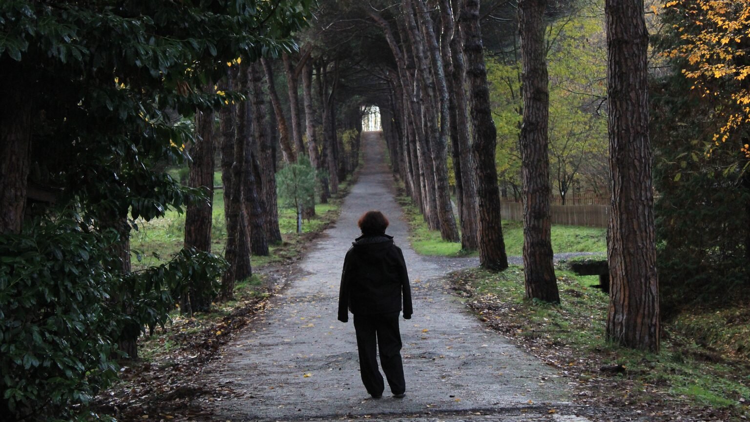 Marcheur solitaire en forêt, exercice stoïcien de l'entretien avec soi-même